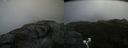 ./images/calvert/buxton2/20200919/buxton220200919_115503M.jpg