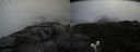 ./images/calvert/buxton2/20200919/buxton220200919_120003M.jpg