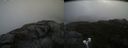 ./images/calvert/buxton2/20200919/buxton220200919_121503M.jpg