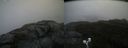 ./images/calvert/buxton2/20200919/buxton220200919_122503M.jpg