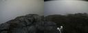 ./images/calvert/buxton2/20200919/buxton220200919_123502M.jpg