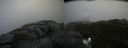 ./images/calvert/buxton2/20200919/buxton220200919_125002M.jpg