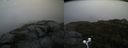 ./images/calvert/buxton2/20200919/buxton220200919_132002M.jpg