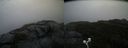./images/calvert/buxton2/20200919/buxton220200919_132502M.jpg