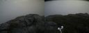 ./images/calvert/buxton2/20200919/buxton220200919_133503M.jpg