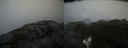./images/calvert/buxton2/20200919/buxton220200919_141003M.jpg