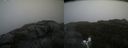 ./images/calvert/buxton2/20200919/buxton220200919_144003M.jpg