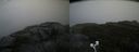 ./images/calvert/buxton2/20200919/buxton220200919_153502M.jpg