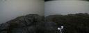 ./images/calvert/buxton2/20200919/buxton220200919_154002M.jpg