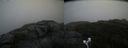 ./images/calvert/buxton2/20200919/buxton220200919_155002M.jpg