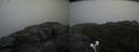 ./images/calvert/buxton2/20200919/buxton220200919_162003M.jpg