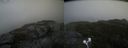 ./images/calvert/buxton2/20200919/buxton220200919_163503M.jpg