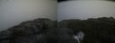 ./images/calvert/buxton2/20200919/buxton220200919_170503M.jpg