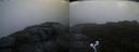 ./images/calvert/buxton2/20200920/buxton220200920_072003M.jpg