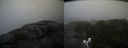 ./images/calvert/buxton2/20200920/buxton220200920_094003M.jpg