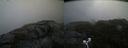 ./images/calvert/buxton2/20200920/buxton220200920_094503M.jpg