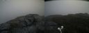 ./images/calvert/buxton2/20200920/buxton220200920_104502M.jpg