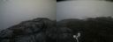 ./images/calvert/buxton2/20200920/buxton220200920_143503M.jpg