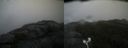 ./images/calvert/buxton2/20200920/buxton220200920_151003M.jpg