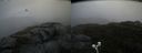 ./images/calvert/buxton2/20200920/buxton220200920_152003M.jpg