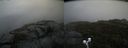 ./images/calvert/buxton2/20200920/buxton220200920_155503M.jpg