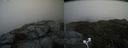 ./images/calvert/buxton2/20200921/buxton220200921_153502M.jpg