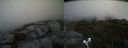 ./images/calvert/buxton2/20200921/buxton220200921_161002M.jpg