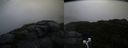 ./images/calvert/buxton2/20200924/buxton220200924_084002M.jpg