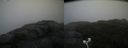 ./images/calvert/buxton2/20200924/buxton220200924_100003M.jpg