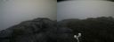 ./images/calvert/buxton2/20200924/buxton220200924_101003M.jpg