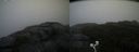 ./images/calvert/buxton2/20200924/buxton220200924_101503M.jpg