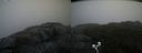 ./images/calvert/buxton2/20200924/buxton220200924_102003M.jpg