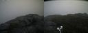 ./images/calvert/buxton2/20200924/buxton220200924_105503M.jpg