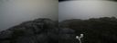 ./images/calvert/buxton2/20200924/buxton220200924_110503M.jpg