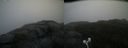 ./images/calvert/buxton2/20200924/buxton220200924_114002M.jpg