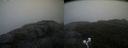 ./images/calvert/buxton2/20200924/buxton220200924_114502M.jpg