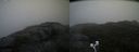 ./images/calvert/buxton2/20200924/buxton220200924_122002M.jpg