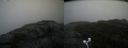./images/calvert/buxton2/20200924/buxton220200924_132003M.jpg