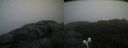 ./images/calvert/buxton2/20200924/buxton220200924_132503M.jpg