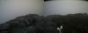 ./images/calvert/buxton2/20200924/buxton220200924_133503M.jpg