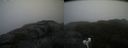 ./images/calvert/buxton2/20200924/buxton220200924_141502M.jpg