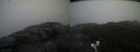 ./images/calvert/buxton2/20200924/buxton220200924_152002M.jpg