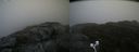 ./images/calvert/buxton2/20200925/buxton220200925_131503M.jpg