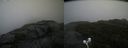./images/calvert/buxton2/20200925/buxton220200925_155503M.jpg