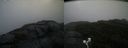 ./images/calvert/buxton2/20200925/buxton220200925_182003M.jpg