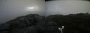 ./images/calvert/buxton2/20200926/buxton220200926_110006M.jpg