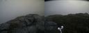 ./images/calvert/buxton2/20200926/buxton220200926_111003M.jpg