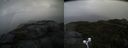./images/calvert/buxton2/20200927/buxton220200927_153502M.jpg