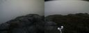 ./images/calvert/buxton2/20200928/buxton220200928_074002M.jpg