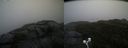 ./images/calvert/buxton2/20200928/buxton220200928_074502M.jpg